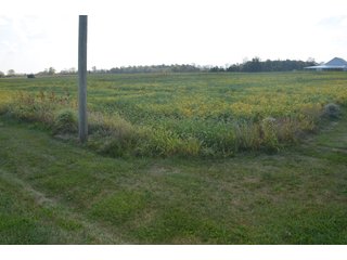 Property photo 15 - REAL ESTATE AUCTION - 604+/- ACRES IN 14 TRACTS IN MERCER CO., OHIO
